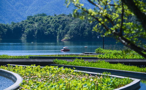 緣分跑過山 200到300，湖亂跑的報名費究竟觸動了誰的神經
